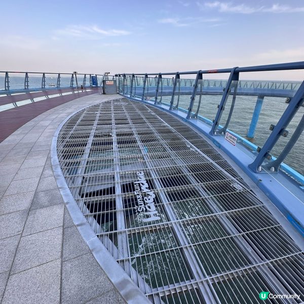 🇰🇷釜山靑沙浦瞭望台：刺激透明玻璃步道體驗