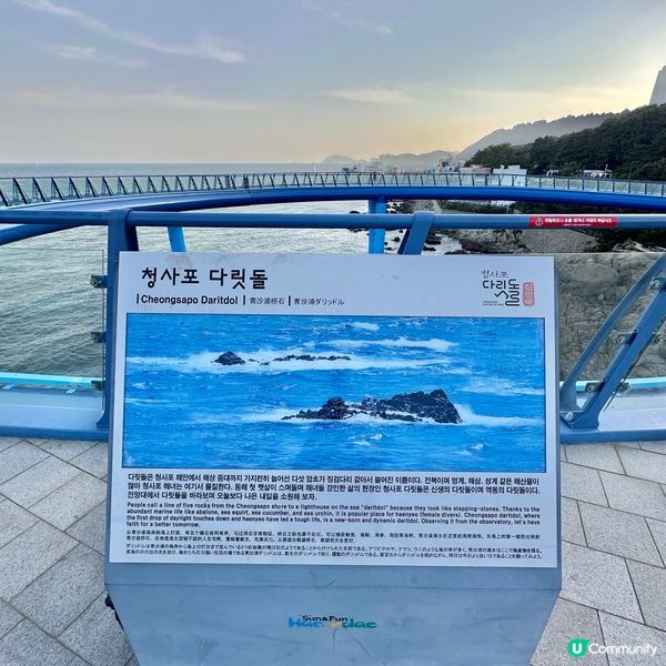 🇰🇷釜山靑沙浦瞭望台：刺激透明玻璃步道體驗