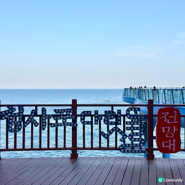 🇰🇷釜山靑沙浦瞭望台：刺激透明玻璃步道體驗