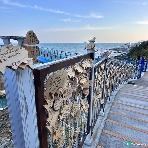 🇰🇷釜山靑沙浦瞭望台：刺激透明玻璃步道體驗