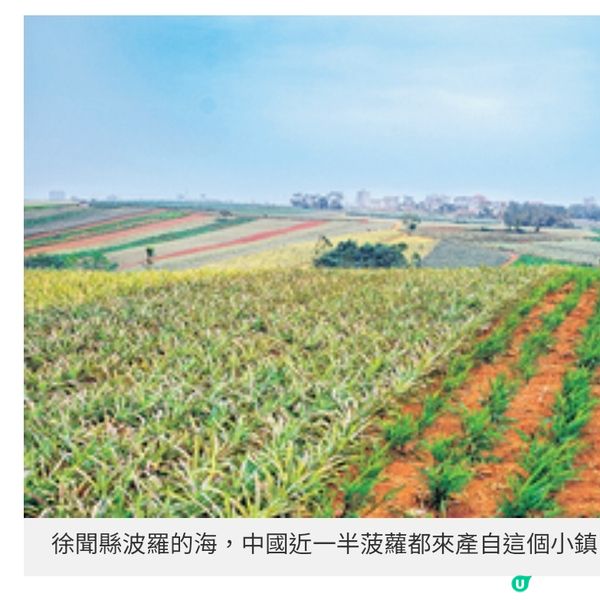 乘高鐵直達湛江展濱海美食文化探索之旅