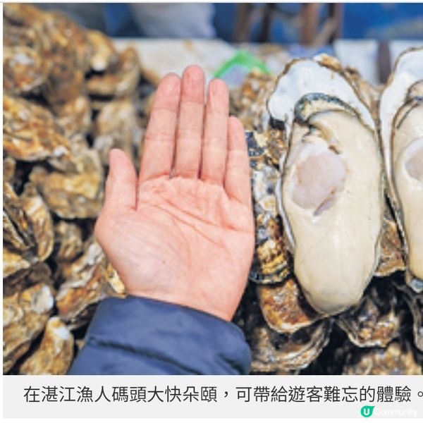 乘高鐵直達湛江展濱海美食文化探索之旅