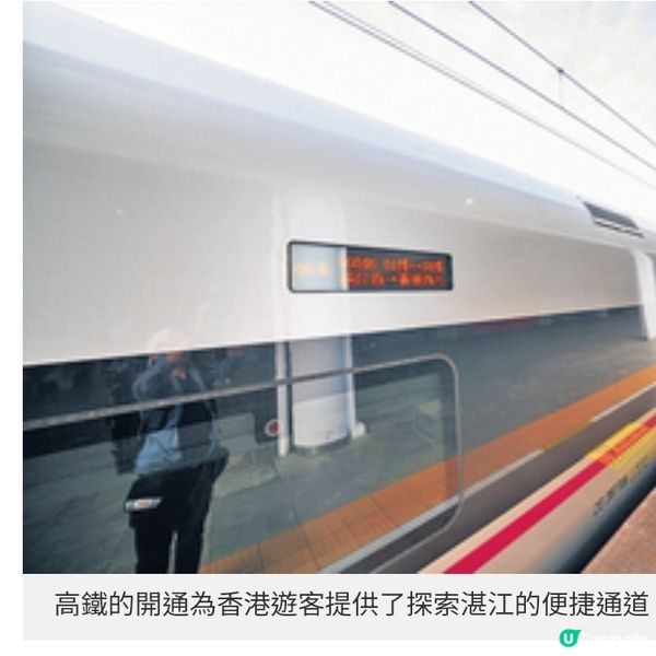 乘高鐵直達湛江展濱海美食文化探索之旅