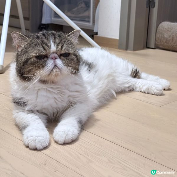 乜你聽日又放假呀😒