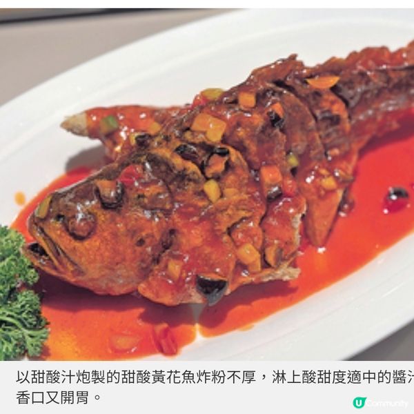 莆田推8款哆頭蟶菜式 福建在地原味鮮嫩肥美