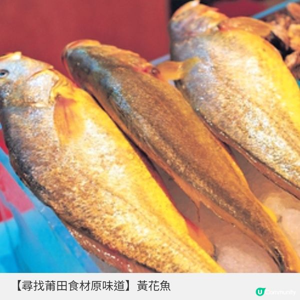 莆田推8款哆頭蟶菜式 福建在地原味鮮嫩肥美