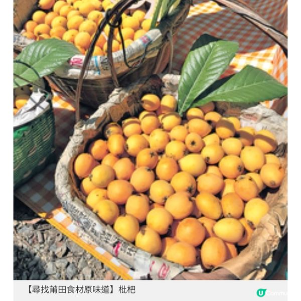 莆田推8款哆頭蟶菜式 福建在地原味鮮嫩肥美