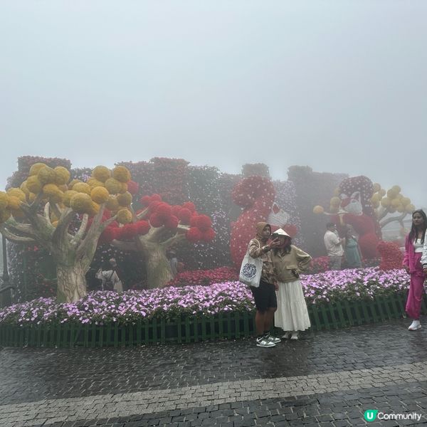 🇻🇳越南峴港 巴拿山一日遊攻略 🚡  打卡必去！