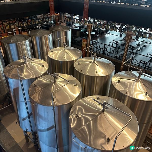 🇻🇳越南峴港 巴拿山一日遊攻略 🚡  打卡必去！