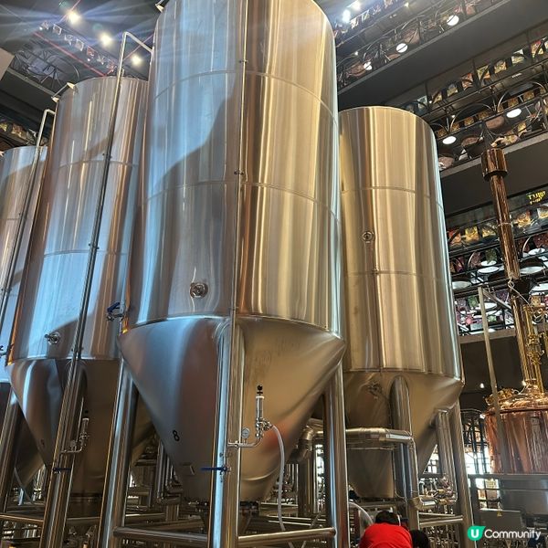 🇻🇳越南峴港 巴拿山一日遊攻略 🚡  打卡必去！