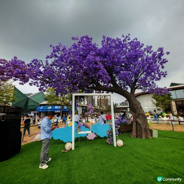 五一北上hea遊遊