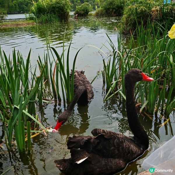 五一北上hea遊遊