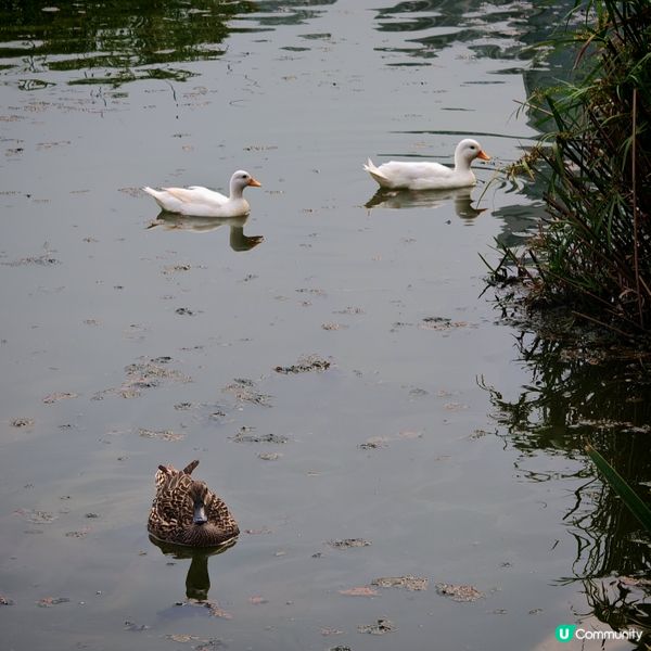 五一北上hea遊遊