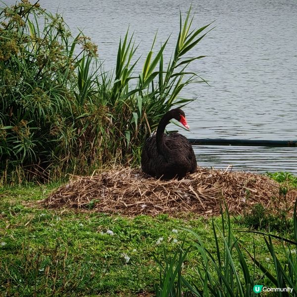 五一北上hea遊遊