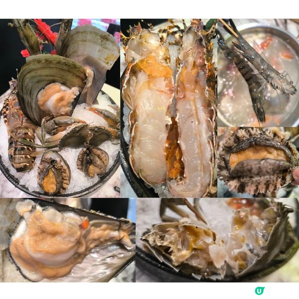 尖沙咀有一間阿爺八鮮鍋性價比高