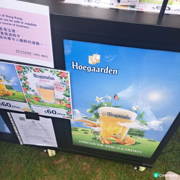 🍺Sip Groove 微醺樂動休閒活動🥰