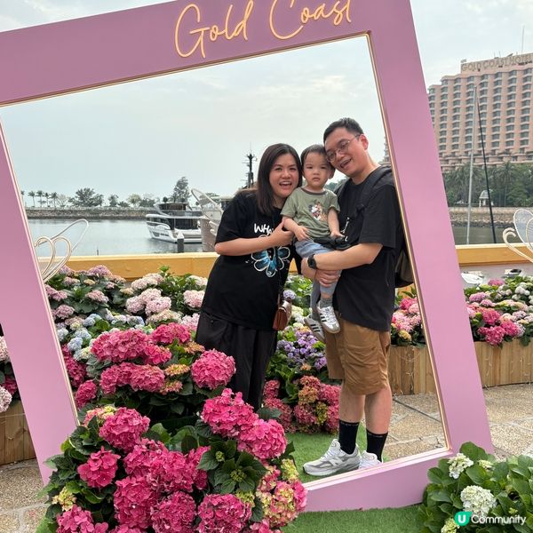 黃金海岸繡球花節🌸  今個週末去打卡📸