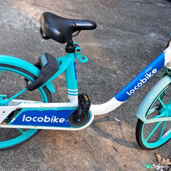 僅有的共享單車locobike