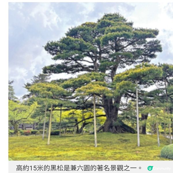 日本直擊 香港快運直航小松遊金澤 盤點市內景點 感受歷史文化