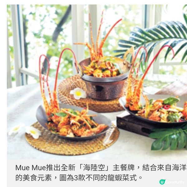 Mue Mue全新「海陸空」主餐牌必吃火焰火山骨泰煮龍蝦三味