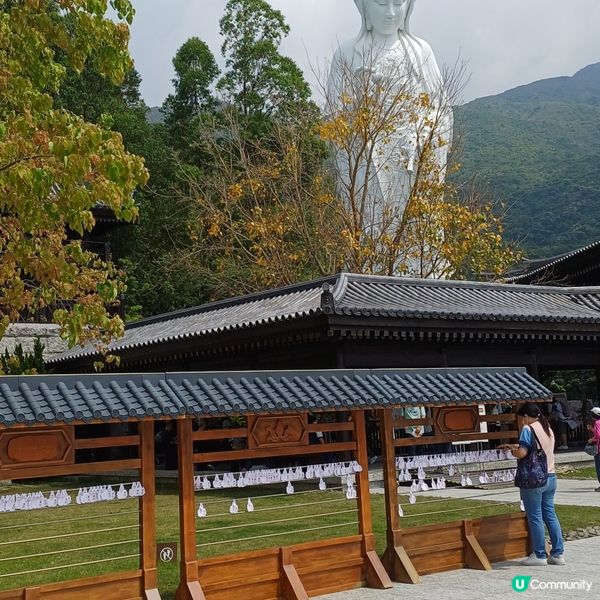 慈山寺 佛誕開放
