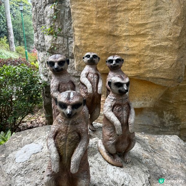 ## 🐒 香港動植物公園，隱世動物天堂！免費入場！