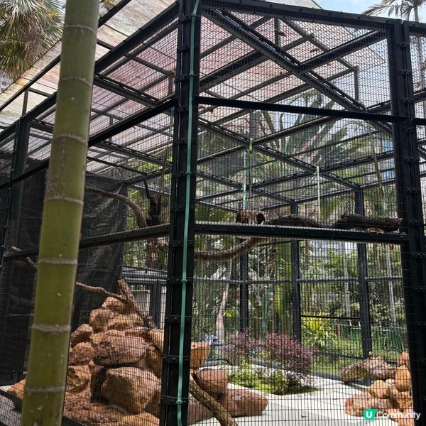## 🐒 香港動植物公園，隱世動物天堂！免費入場！