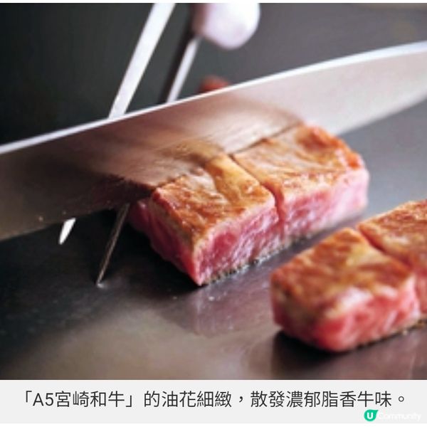 MINATO優質和牛龍蝦鐵板燒滿足母親的味蕾