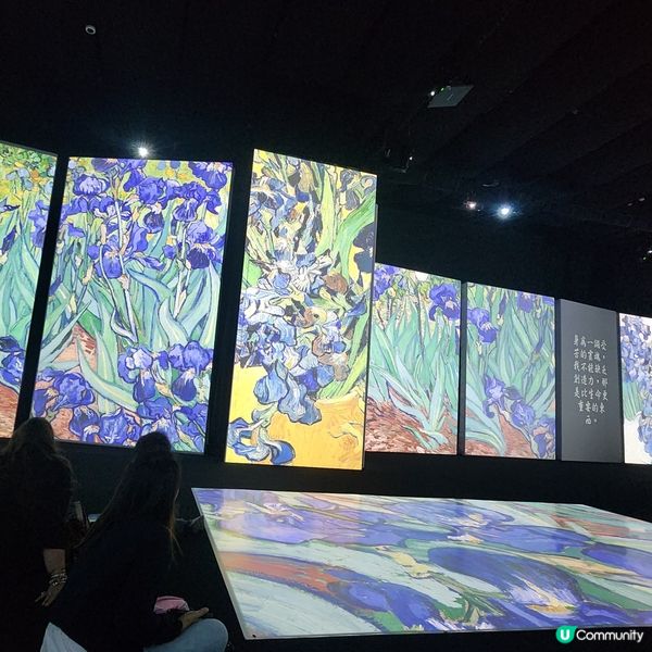 🎨 梵高🔥光影沉浸式體驗展‼️感受藝術靈魂🤗
