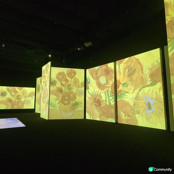 🎨 梵高🔥光影沉浸式體驗展‼️感受藝術靈魂🤗