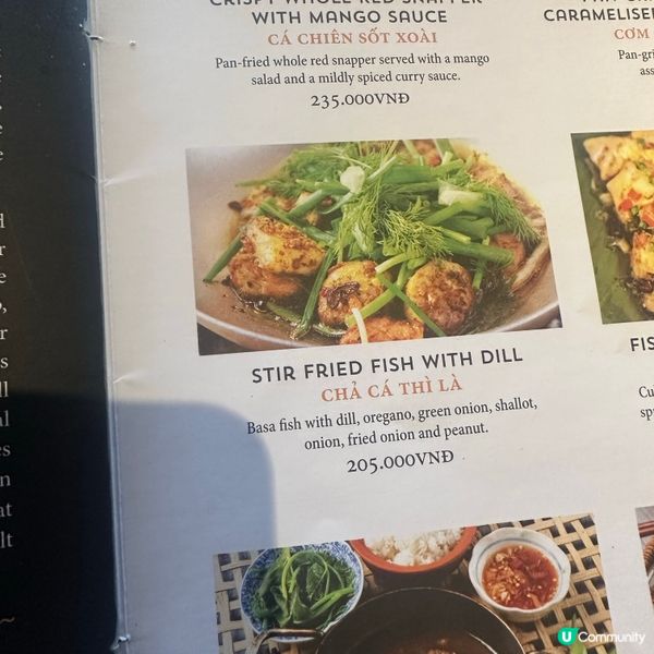 會安夜晚🏮，燈籠街餐廳浪漫到爆✨