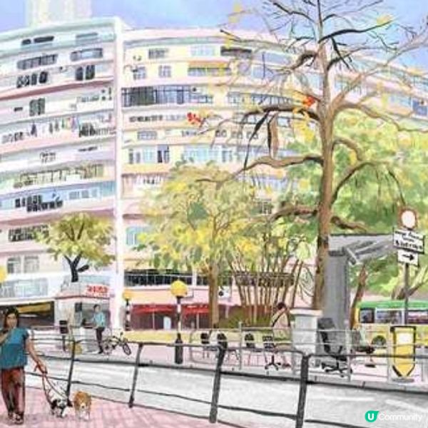 浪漫的觀察者 本地著名藝術家慧惠