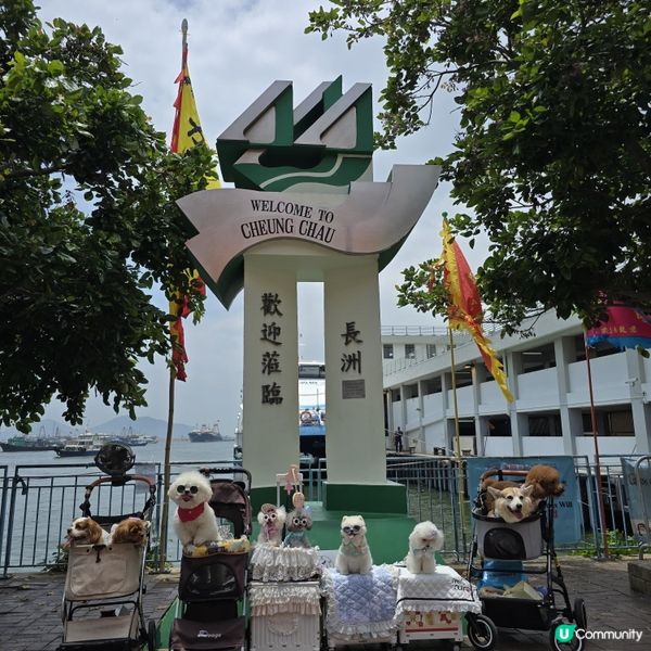 香港節慶，文化躍動！人寵飄色🥳