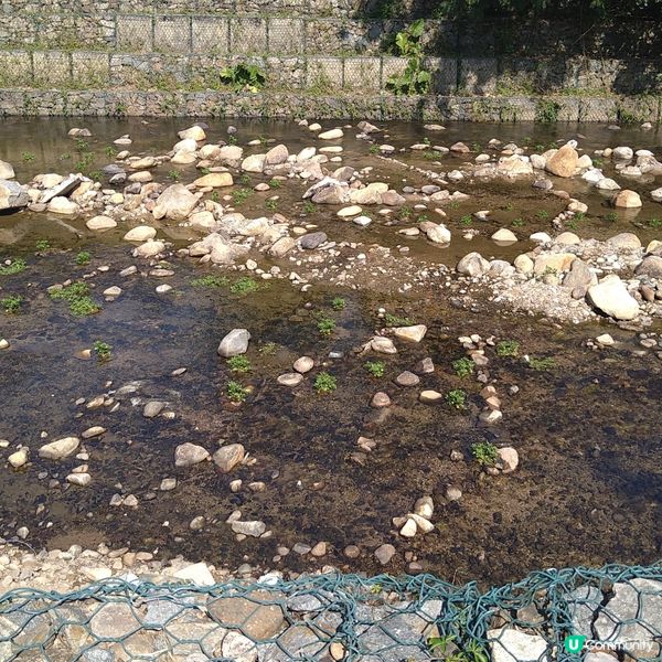 探索林村河