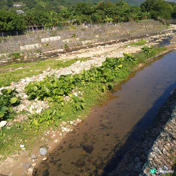 探索林村河