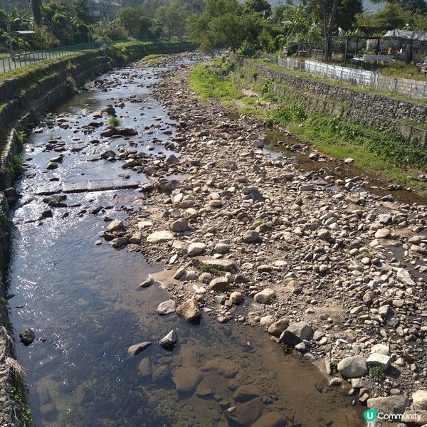 探索林村河