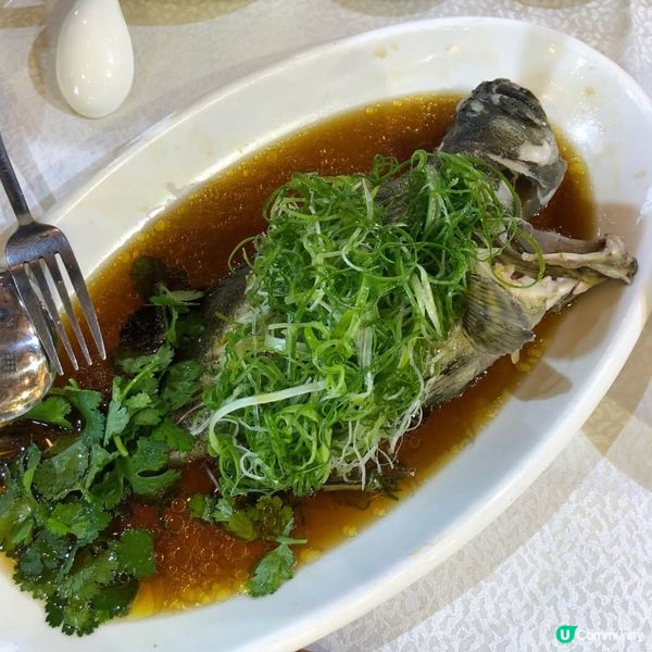 ✨絕對不能錯過的海鮮菜館✨