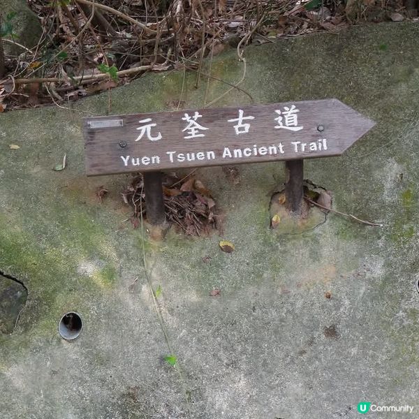 荃元古道
