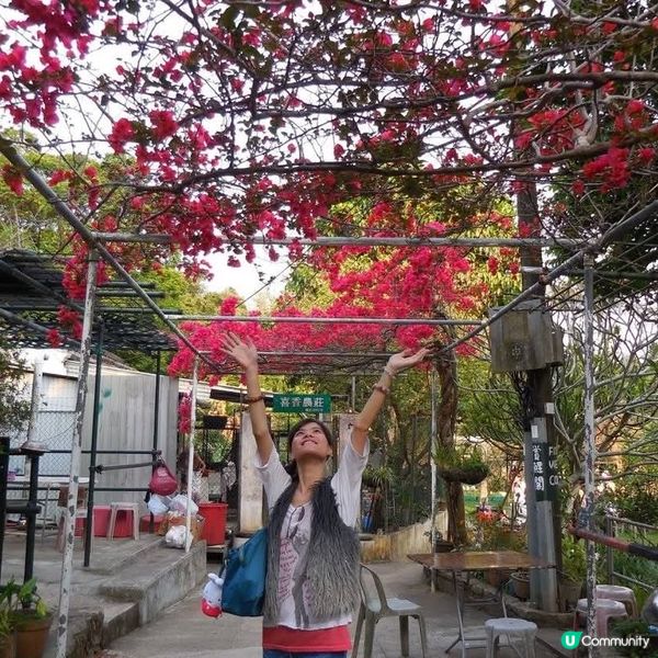 荃元古道