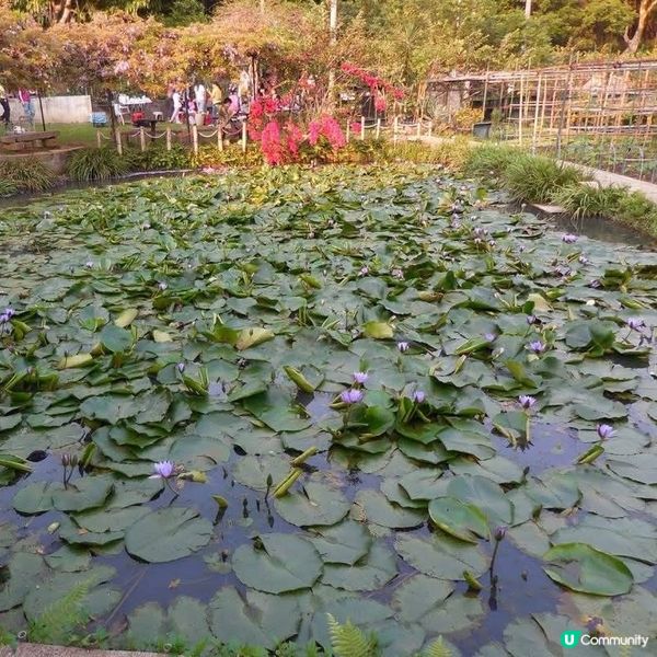 荃元古道