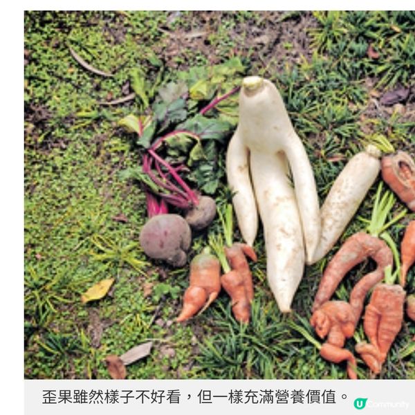 港媽為自閉兒子創業 社企星星堂售歪果麵條