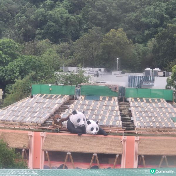 #UCreator #打卡美食 #好去處 #全新景點 #ch...