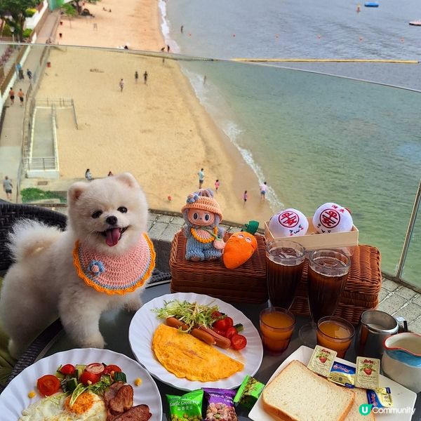 長洲華威酒店🐶🌊  寵主必選！