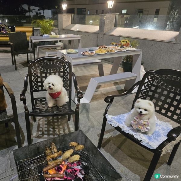 長洲華威酒店🐶🌊  寵主必選！