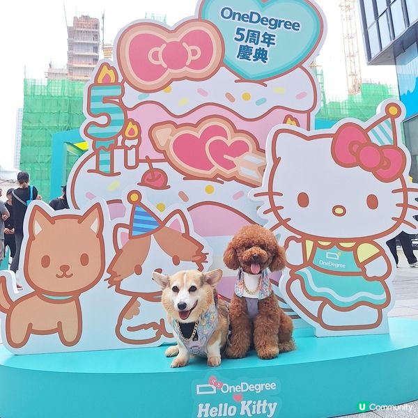 🎉 5周年人寵嘉年華  🐶🐱