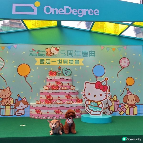 🎉 5周年人寵嘉年華  🐶🐱