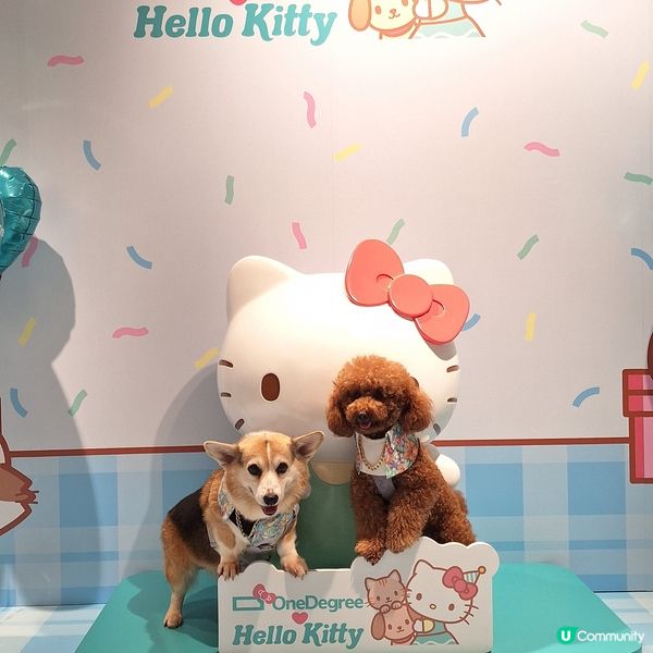 🎉 5周年人寵嘉年華  🐶🐱