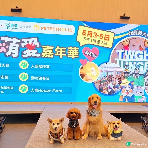 東蒲萌愛嘉年華 3日人寵盛事！