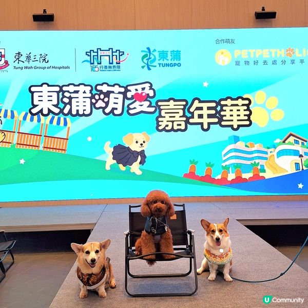 東蒲萌愛嘉年華 3日人寵盛事！