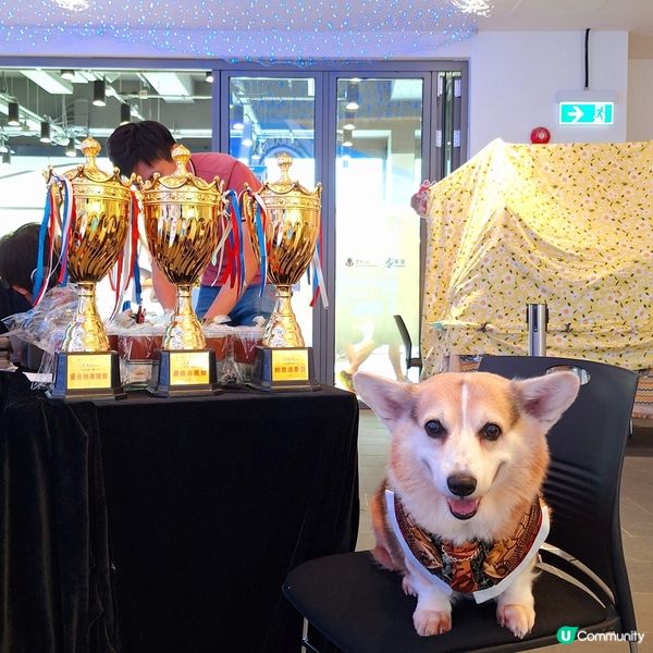 東蒲萌愛嘉年華 3日人寵盛事！